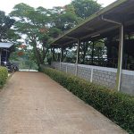 Pengiriman Sapi Qurban H-1 Agar Tidak Kena Macet