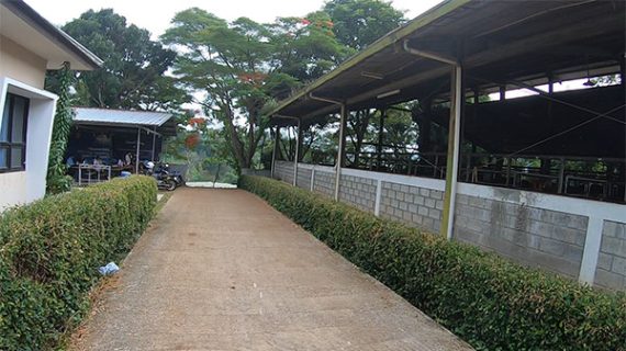 Pengiriman Sapi Qurban H-1 Agar Tidak Kena Macet