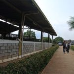 Harga Sapi Berdasarkan Berat Kilo-an atau Beli Satuan?